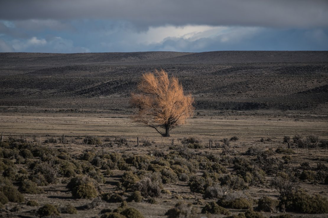 Viento en contra