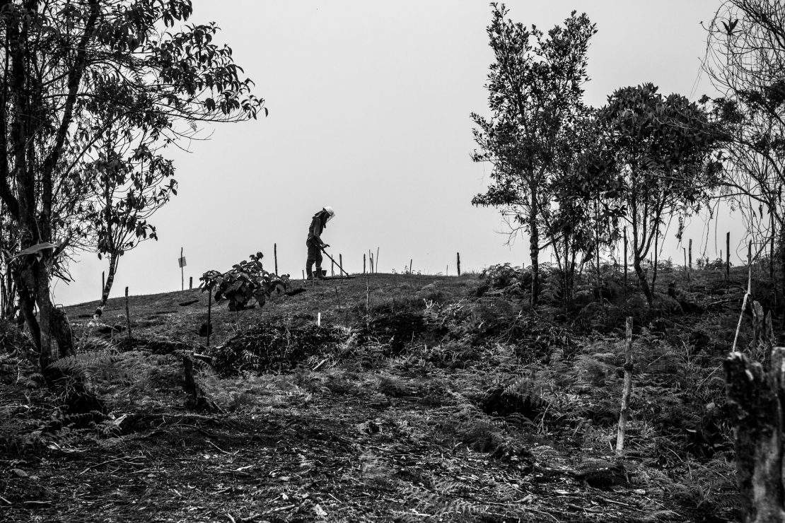 Desenterradores de la paz