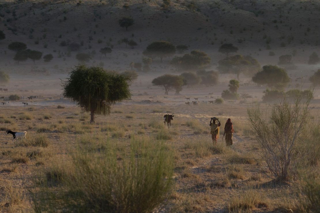 Sahel