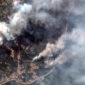 Clima extremo: Portugal arde mientras Centroeuropa se inunda