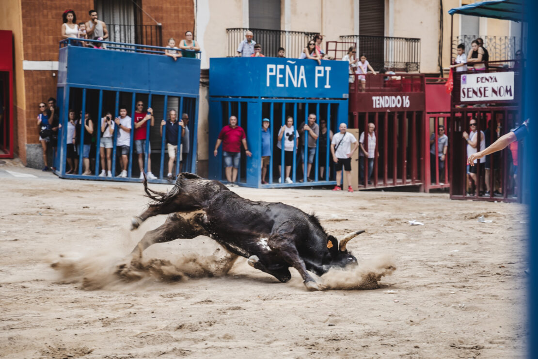 La fiesta brava