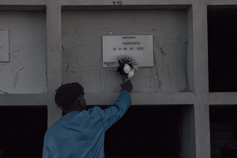 Las siete vidas que la indiferencia se llevó