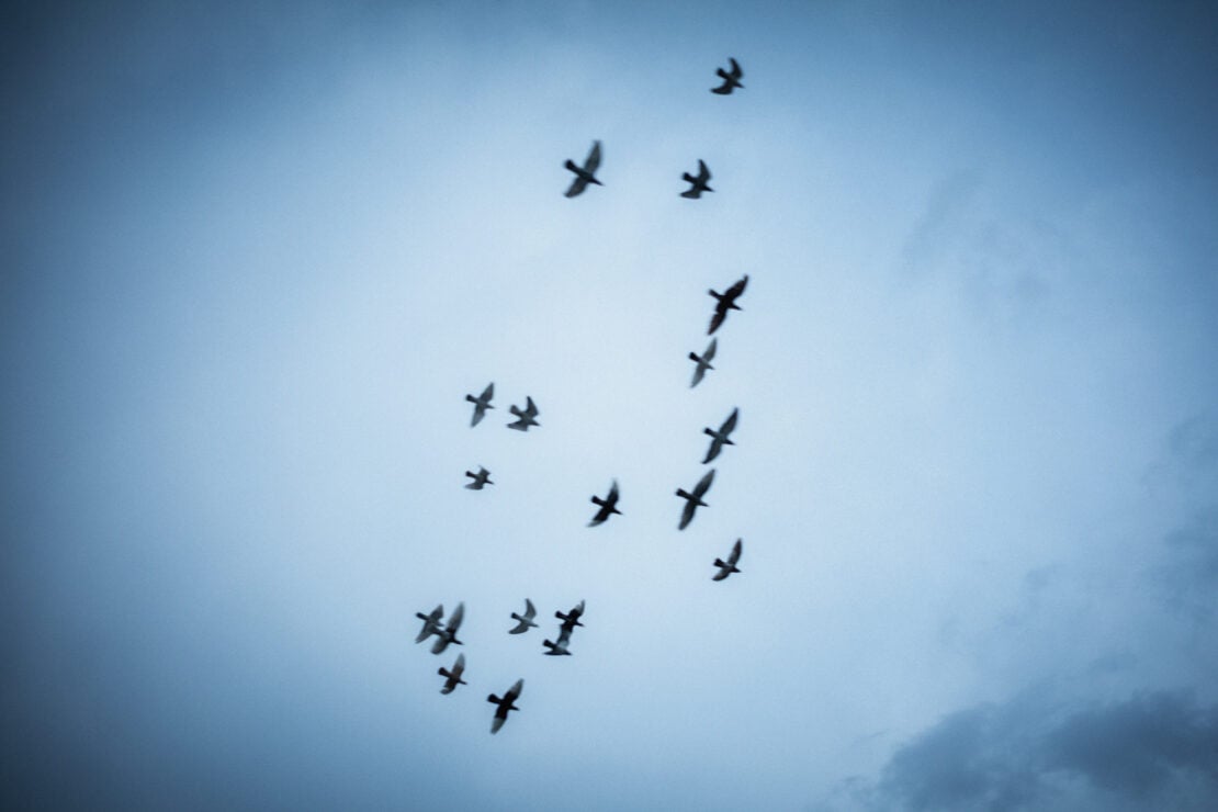 Cinco noticias olvidadas de 2025