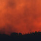 Incendios forestales