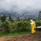 El brote de ébola en RDC deja 160 muertos y se expande hacia Uganda